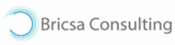 Bricsa Consulting Private Limited